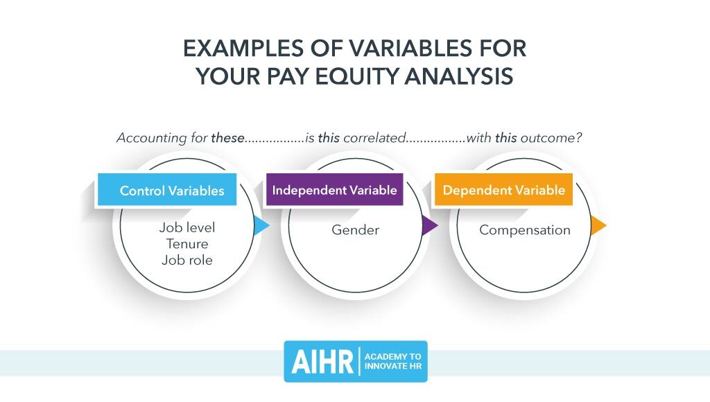 薪酬公平分析变量示例