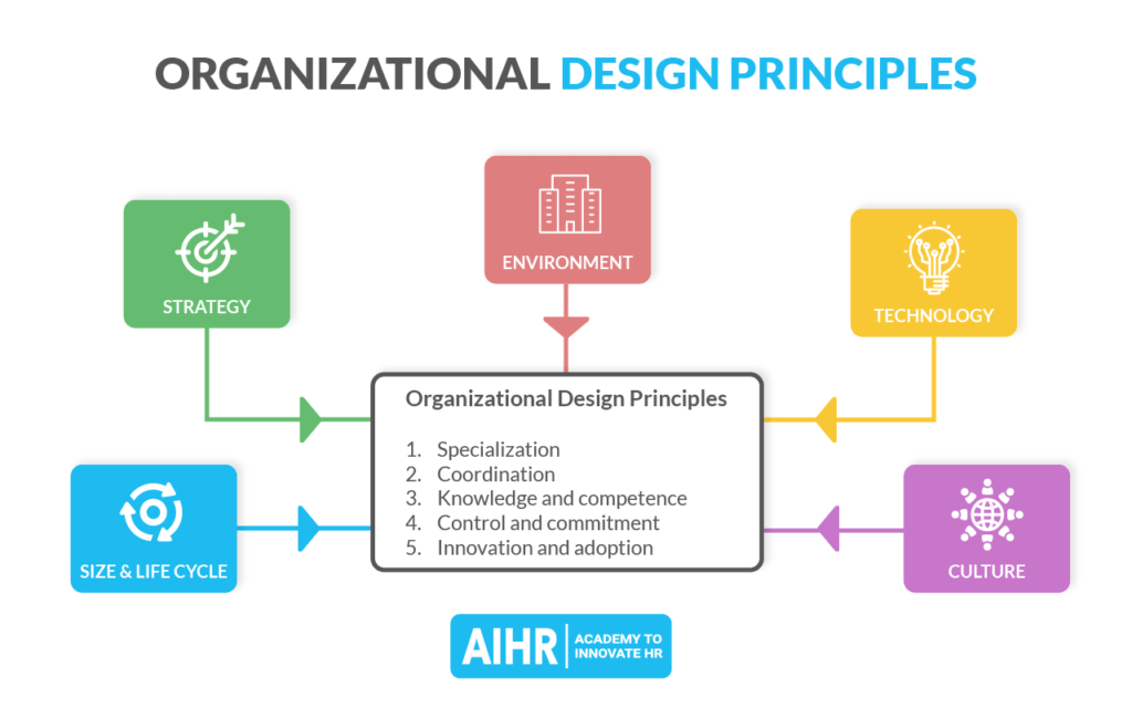 组织设计原则