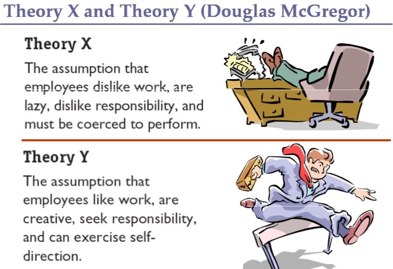 X理论和Y理论道格拉斯·麦格雷戈