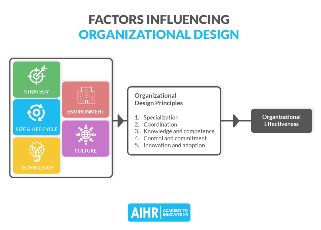 影响组织设计的因素